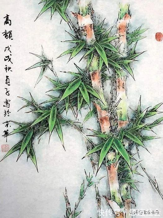 画法$国画中竹显气节,其画法并不局限于水墨,彩墨竹子别有韵味