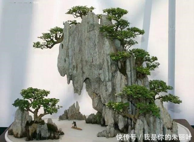 养花|大爷用石头、盘子来养花,布局造景,这就是山水盆景的魅力!