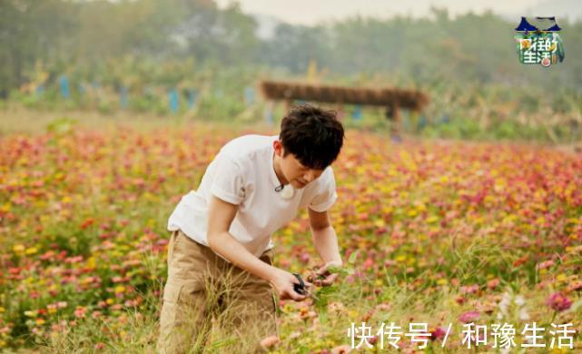 黃磊透露《向往的生活》未來狀況，或將停播？網友評論太意外！