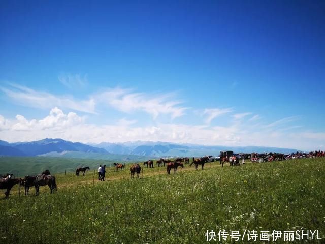 中薪|伊犁草原篇:特克斯喀拉峻