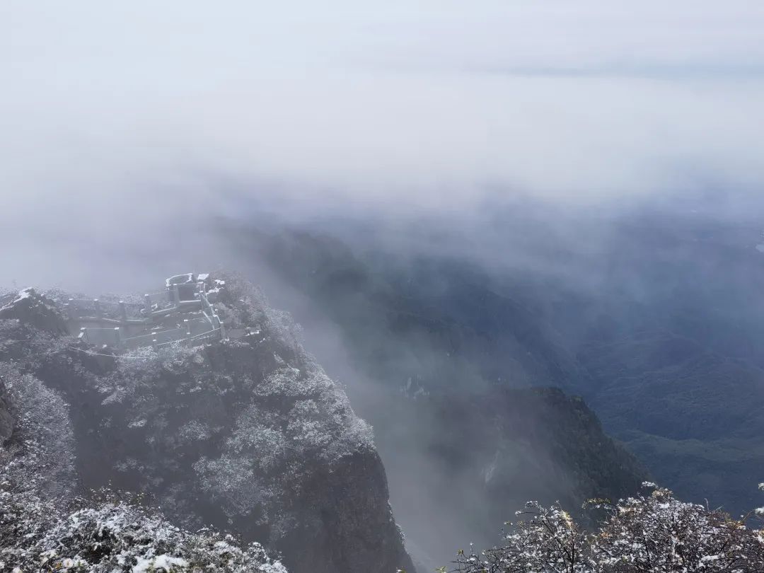 温泉节|下雪啦！峨眉山深秋初雪惊喜而至