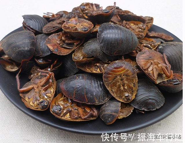 中成药|既能抗凝又能降脂稳定斑块?聊一聊常用的中成药——通心络胶囊