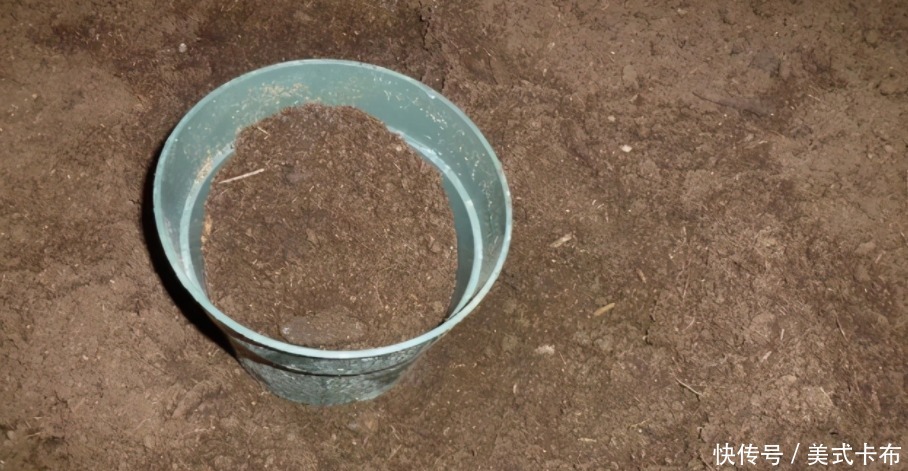 松针|此种养花土养啥旺啥,该怎么制作?混入它们,营养更全面