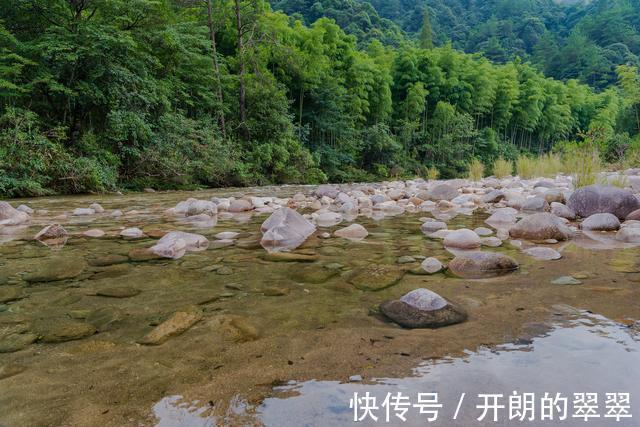 垦殖场|大茅山，这世界那么多人，你是贴切的水