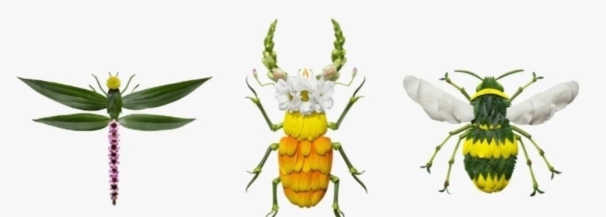 树叶$他拿花瓣、树叶随便一剪一贴就卖23万!网友:买过的人都说“值”