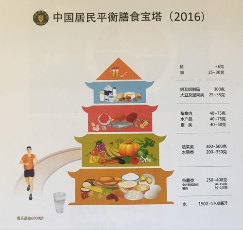  垃圾|世卫组织辟谣：垃圾食品汉堡炸鸡等不是真垃圾！可以放任吃？