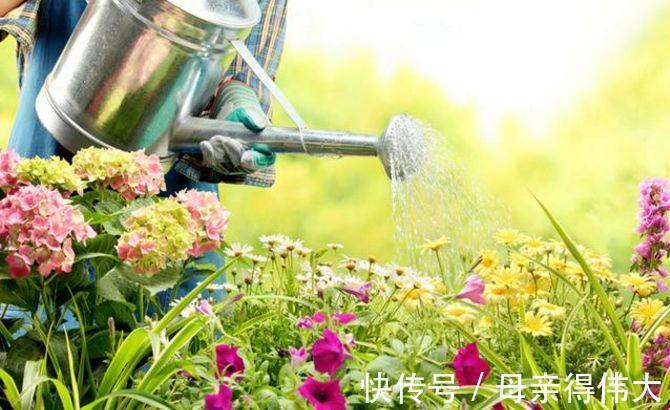 养花牢记“3口诀”,啥花都能养好,阳台变花园,四季花不败