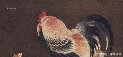 西周古墓挖出一陶罐,里面装满了鸡蛋,两千多年前的鸡蛋啥样子