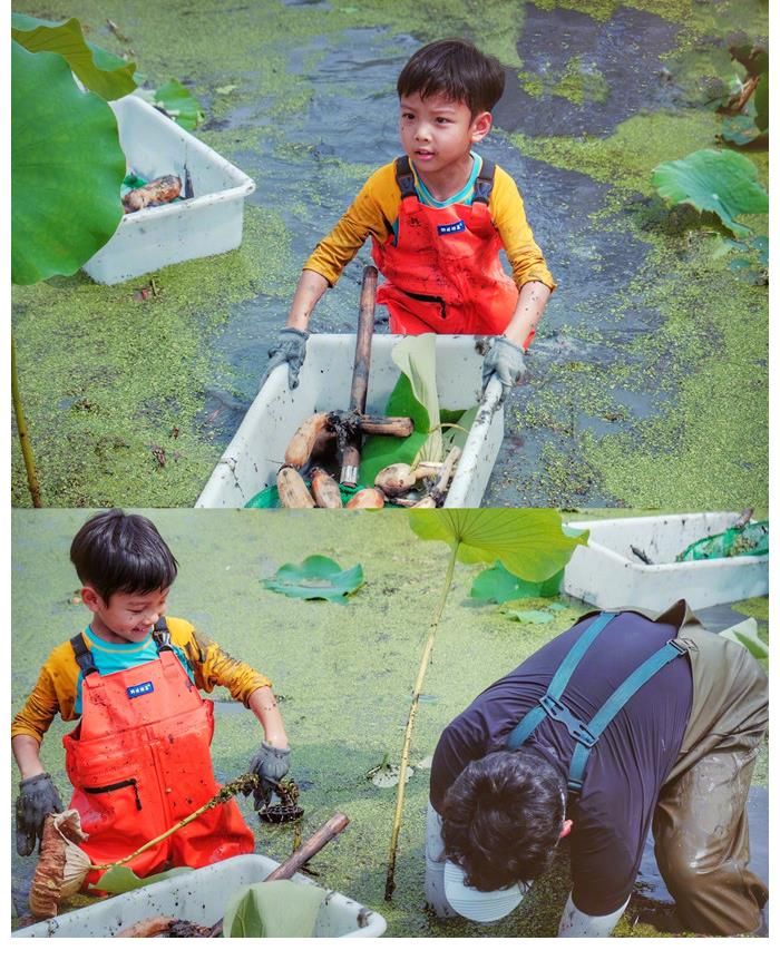 smg|上海主持百克力帶兒子下田挖藕！倆人滿臉淤泥依舊笑意滿滿
