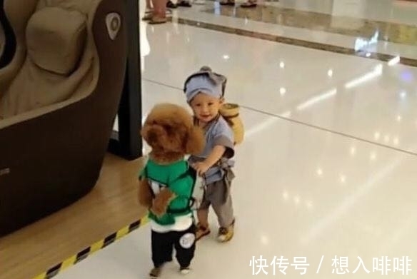 宝妈|宝妈带两个“宝宝”逛街,众人围观,走近细看后,乐得哈哈笑