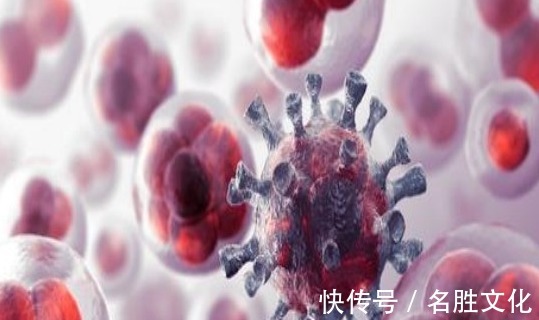 科主任|为什么有些人不易得癌肿瘤科主任他们可能有六个特点