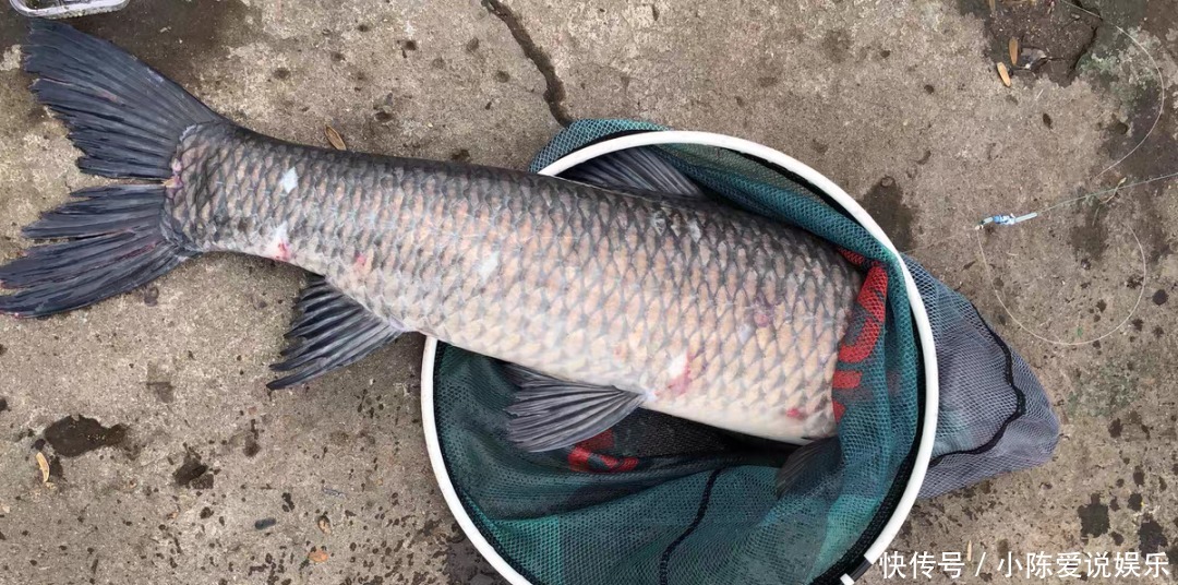 钓鱼和不钓鱼有哪些区别?你可能没发现,钓鱼人有6个特征