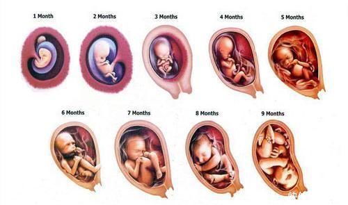 咖啡|为什么宝宝一出世会先被护理抱走10分钟?3个“生孩子冷知识”了解一下