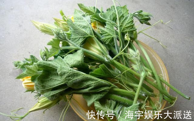 南瓜藤|人到中年想长寿，不妨坚持吃三种食物，补充营养、有益健康