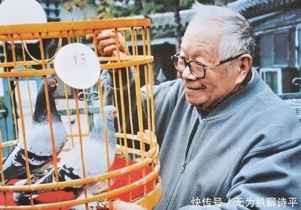 从小学到大|世间若有最美的院子,那一定是王世襄的小院