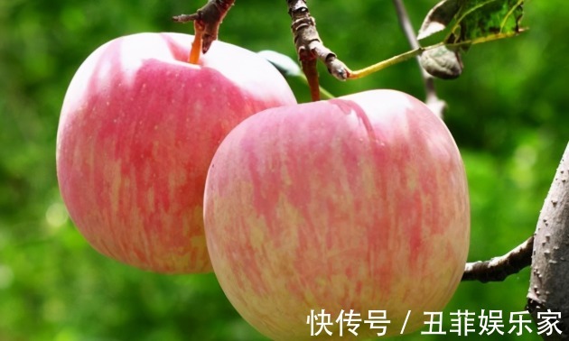 牛年|大年初一,无论贫穷富贵,家里要摆上6种吉祥果,寓意牛年节节高