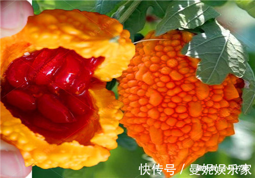 马茹子|想长寿要多吃4种食物,排毒养颜、延缓衰老,好处多多