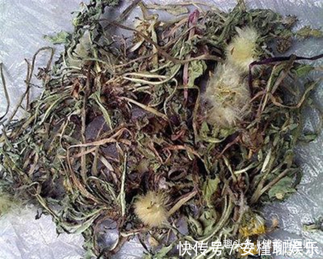 肝脏|农村人当草,城里人当宝,“天然的解毒王”,让肝更“年轻”!