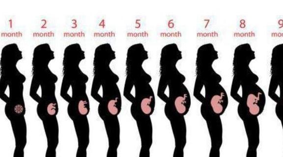 孕妈|孕期体重增长多少比较合适？三张表格让孕妈们心中有数