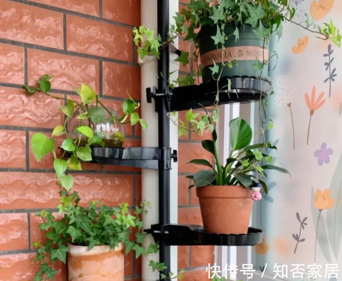 家居|日子过久了才发现,有的东西没必要买贵的,实用就行