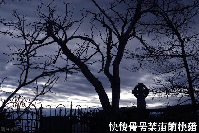 |几本看完都舍不得删掉的搞笑小说,主角智多近乎妖,搞怪到了极点