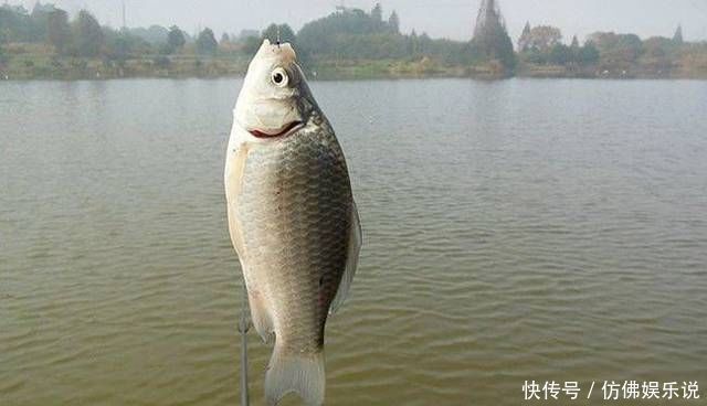 线组上这么个小玩意,不值钱,但是挑选不好费大线让你很郁闷