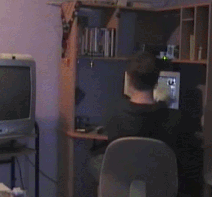 |搞笑GIF段子:没想到一只猫打不过一只鸟