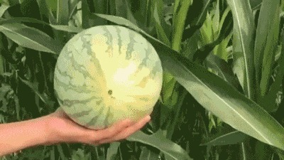 |搞笑GIF：姑娘 虽然你长得挺好看 但你进门的样子我还是笑出了声