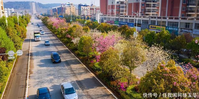 源头|沾益区春到珠源 花满沾益