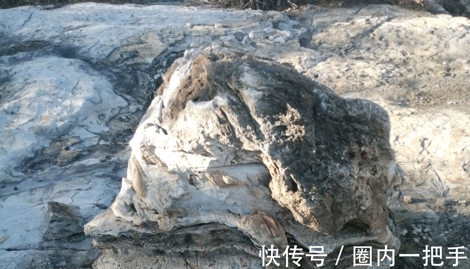 天下母$《德道经》谷神不死,是谓玄牝——《用篇第二》第五节