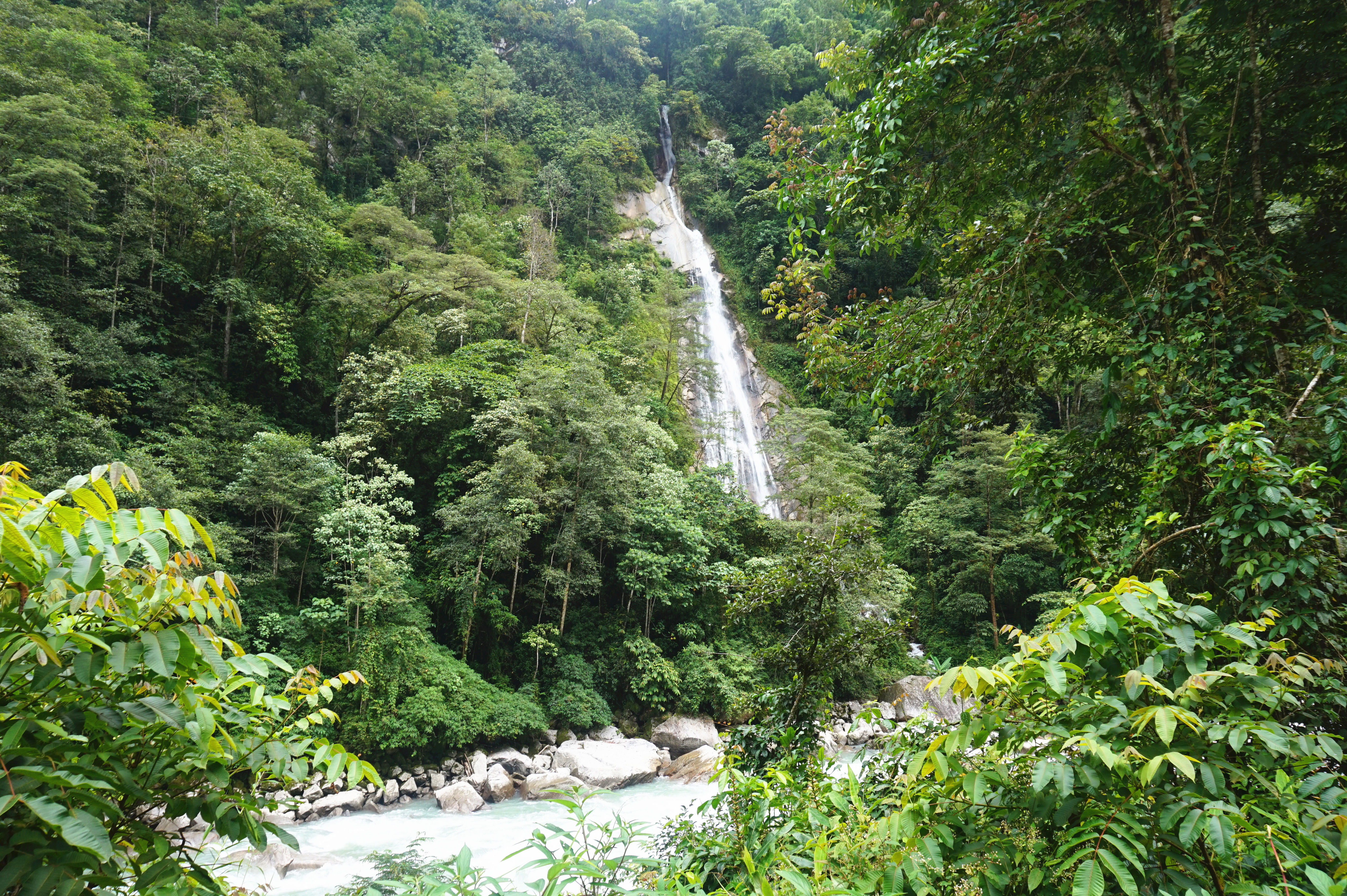 难忘的历程川滇藏青甘蒙游记32，目标莲花圣地墨脱