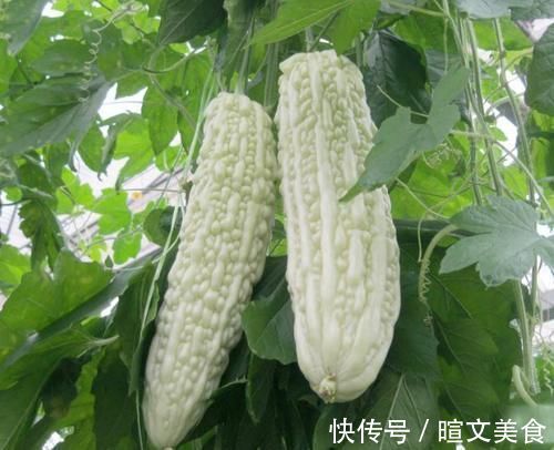 小蠻腰|女人肚子贅肉多，平時多吃4種“零嘴”，減脂養顏，瘦出“小蠻腰”