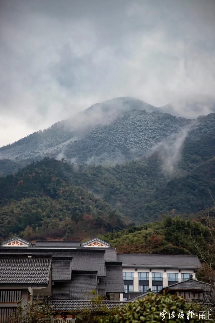 来访|初雪来访，宁波四明山这条公路迎来游客打卡！现场美成这样