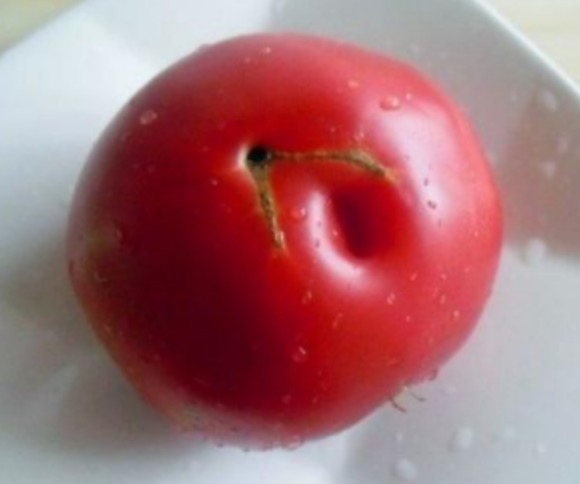 豆腐|离不开的秋季早餐!吃菜又喝汤,营养特暖胃,全家都爱喝!