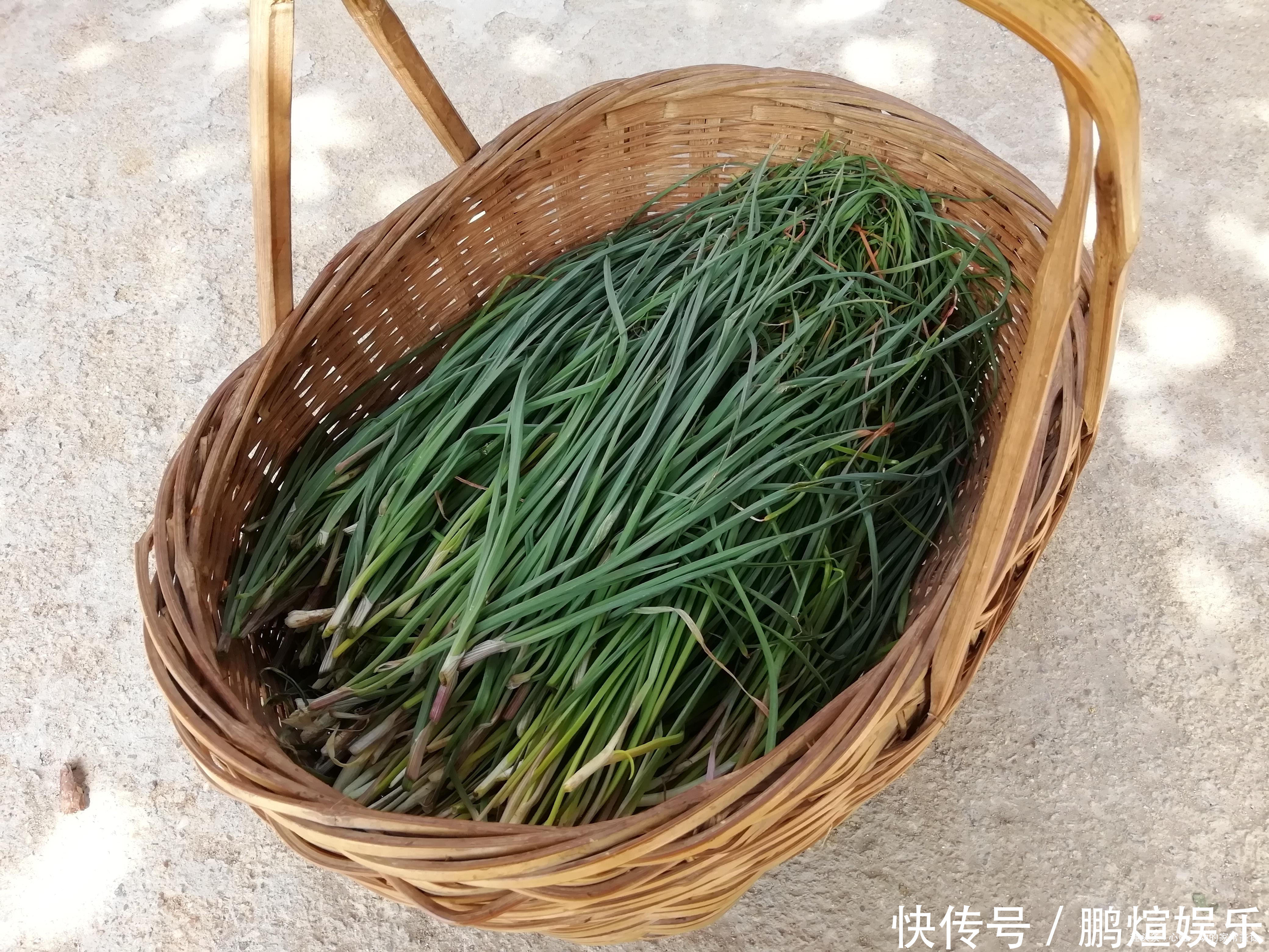 江西人爱吃的4种野菜，都是好东西，尤其第3种，会吃的人不多