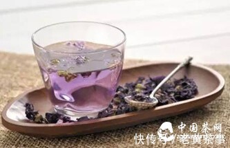 百合花|入秋喝花茶，好看又健康