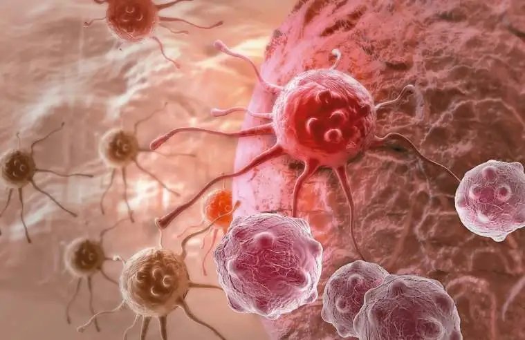 人类|两个月治好癌症，120万的CAR-T会成为人类终结癌症的绝招么？