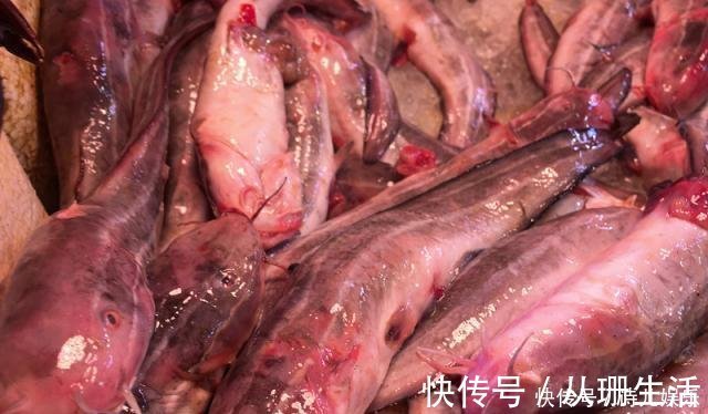 海鱼的100种吃法之一,炖鱼不放姜,无腥味,家人说锅太小不够吃!