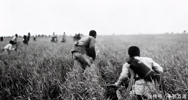 滑石片|滑石片伏击战:八路军第716团大胜,粉碎了日军围攻晋察冀计划