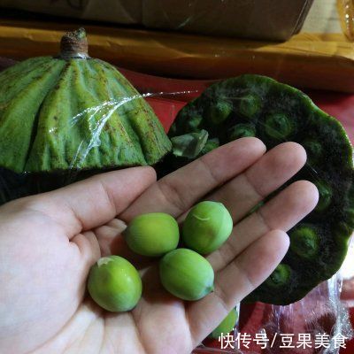 sug吃一次就上瘾的#我为奥运出食力#椰汁玫瑰鲜莲子露