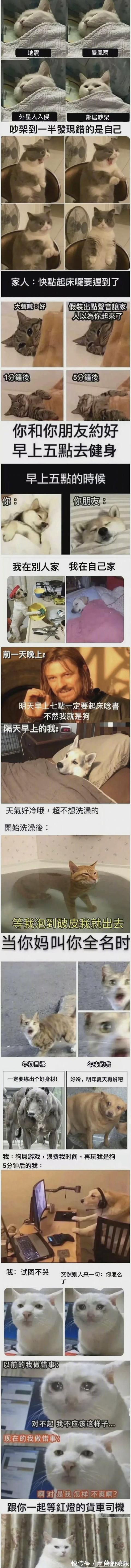 |搞笑段子:朋友刚开了家烧烤店,能帮忙取一个霸气的店名吗?