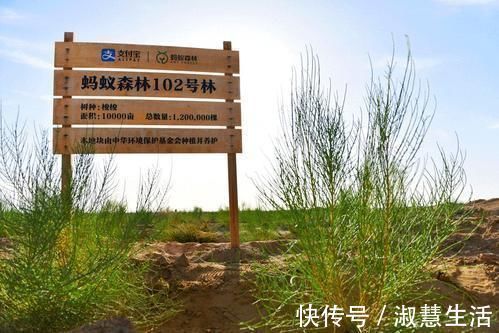 蚂蚁|阿里巴巴“晒出”一张照片，让用户心里不是滋味我们错怪马云了