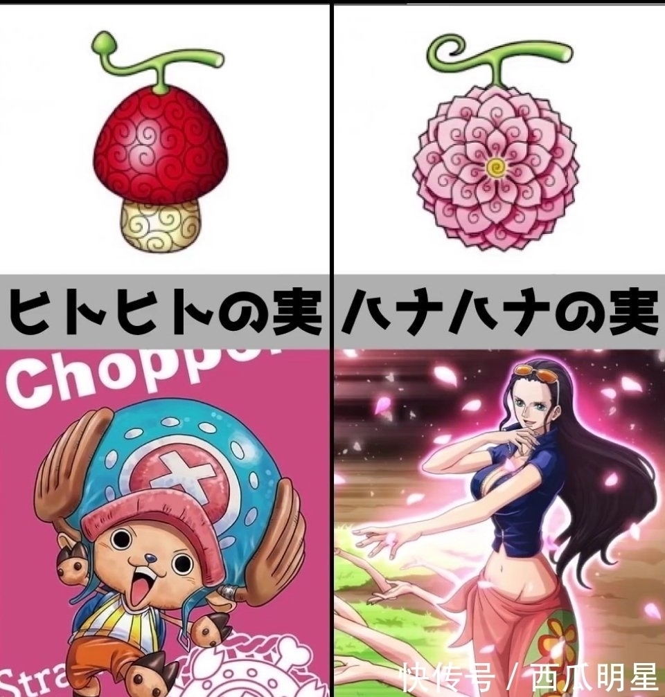 果实|《海贼王》恶魔果实,你最想拥有哪种?花花果实最漂亮