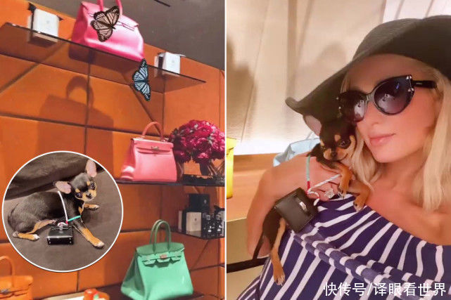 专门店|卡迪·B定制水晶爱马仕，很骄傲，希尔顿大小姐拿藏品较量，更奢华