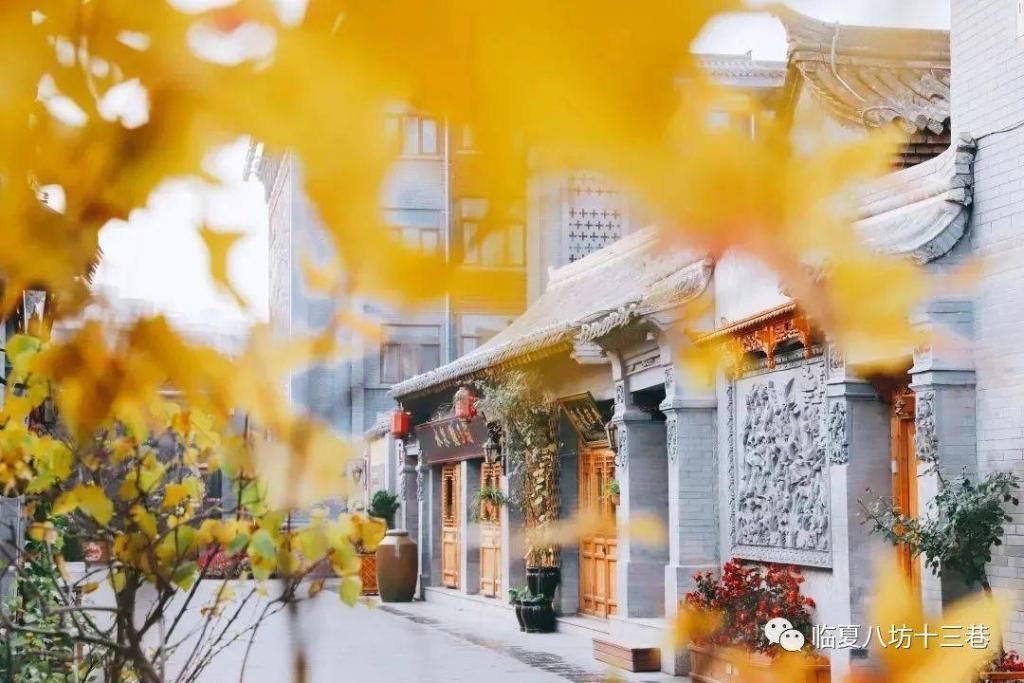 活色生香的古巷,文化气息浓厚,夜景太迷人美食太诱惑~