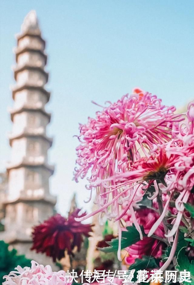 大宋|开封大相国寺，大宋第一皇家寺院，围观镇寺之宝千手千眼观音像!