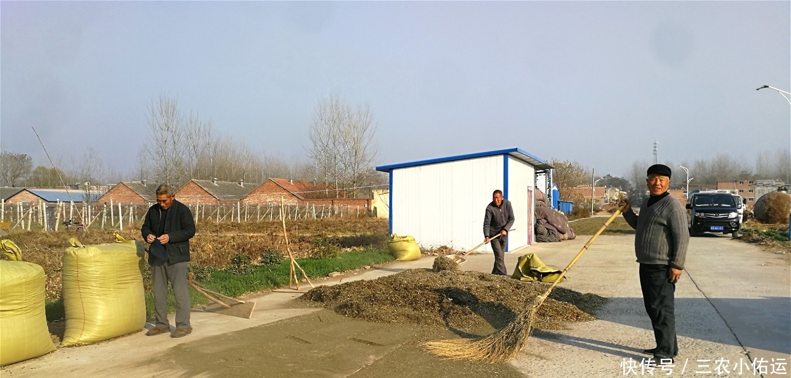 農(nóng)村有種“鬼不纏”的植物,是流落民間的中藥材,小時(shí)候當(dāng)暗器