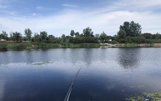 野塘垂钓什么钓位好光有水草不够,这样选才能连竿上鱼