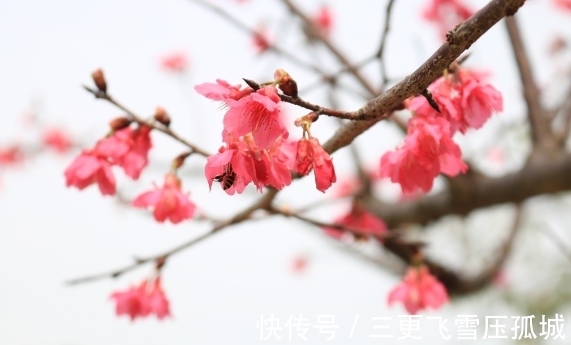 鸿运|国庆节前后,鸿运当头,3星座财源广进,事业风生水起,福禄双全