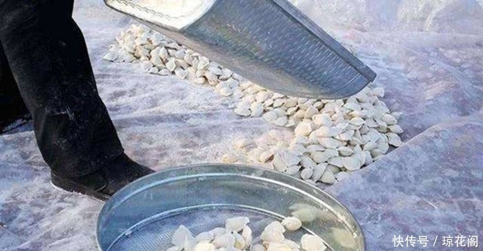 东北人晒饺子,这场面是相当壮观,南方人:不脏吗?